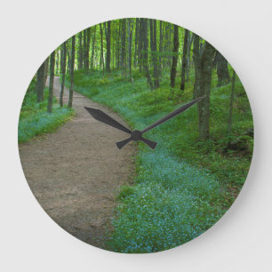 USA, Michigan. Miner's Falls Trail Large Clock