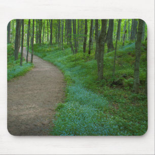 USA, Michigan. Miner's Falls Trail Mouse Pad