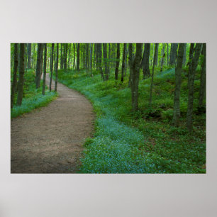 USA, Michigan. Miner's Falls Trail Poster