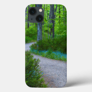 USA, Michigan. Path Thru The Woods iPhone 13 Case