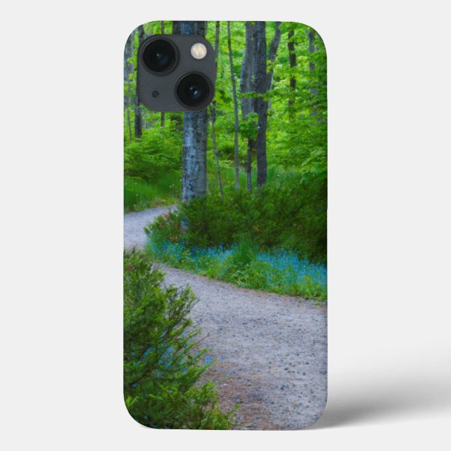 USA, Michigan. Path Thru The Woods Case-Mate iPhone Case (Back)