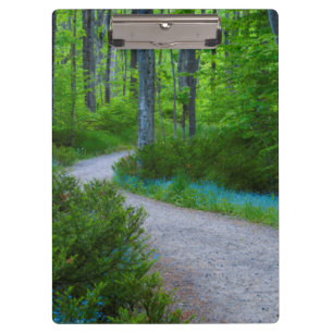 USA, Michigan. Path Thru The Woods Clipboard