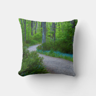 USA, Michigan. Path Thru The Woods Cushion