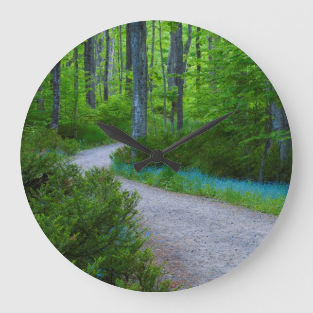 USA, Michigan. Path Thru The Woods Large Clock (Front)