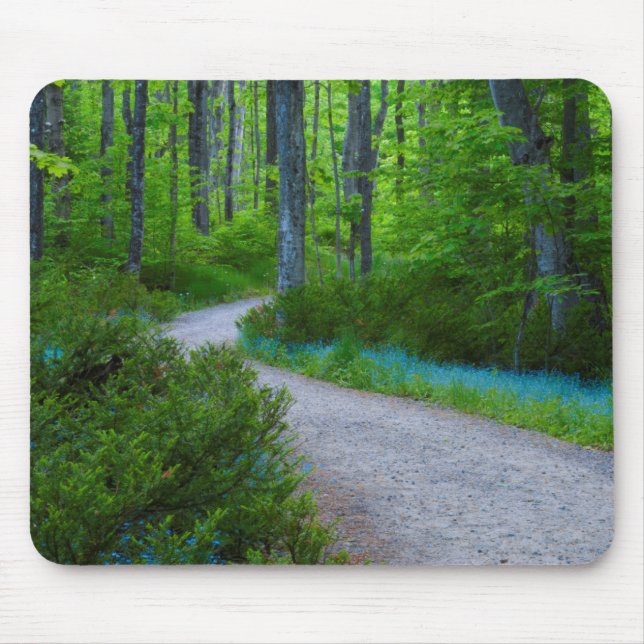 USA, Michigan. Path Thru The Woods Mouse Pad (Front)