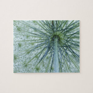 USA, Michigan. Queen-Anne's Lace viewed from Jigsaw Puzzle
