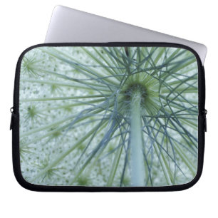 USA, Michigan. Queen-Anne's Lace viewed from Laptop Sleeve