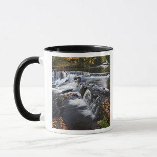 USA, Michigan, Upper Peninsula. Bond Falls and Mug