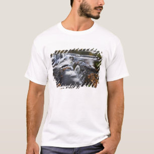 USA, Michigan, Upper Peninsula. Bond Falls and T-Shirt