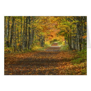 USA, Michigan, Upper Peninsula. Roadway into