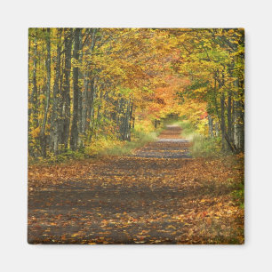 USA, Michigan, Upper Peninsula. Roadway into Magnet