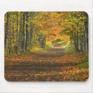 USA, Michigan, Upper Peninsula. Roadway into Mouse Pad