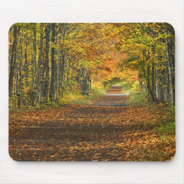 USA, Michigan, Upper Peninsula. Roadway into Mouse Pad (Front)
