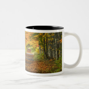USA, Michigan, Upper Peninsula. Roadway into Two-Tone Coffee Mug