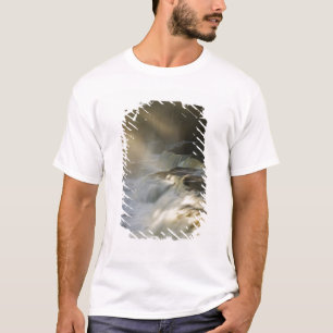 USA, Michigan, Upper Peninsula. Sunbeams on T-Shirt