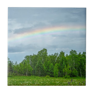 USA, Minnesota. Green meadow with wildflowers Ceramic Tile