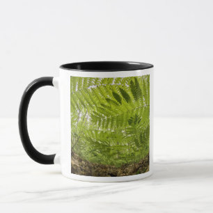 USA, MInnesota, North Shore Lake Superior, Mug