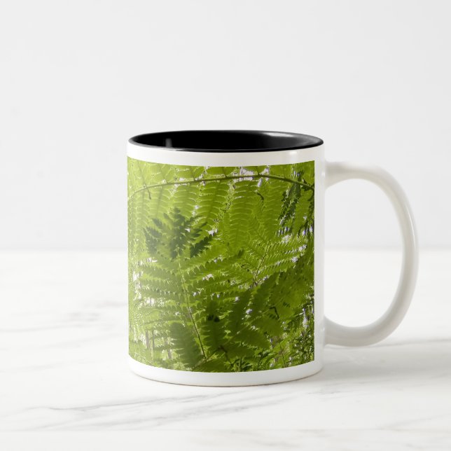 USA, MInnesota, North Shore Lake Superior, Two-Tone Coffee Mug (Right)