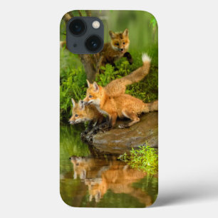 USA, Minnesota, Sandstone, Minnesota Wildlife iPhone 13 Case