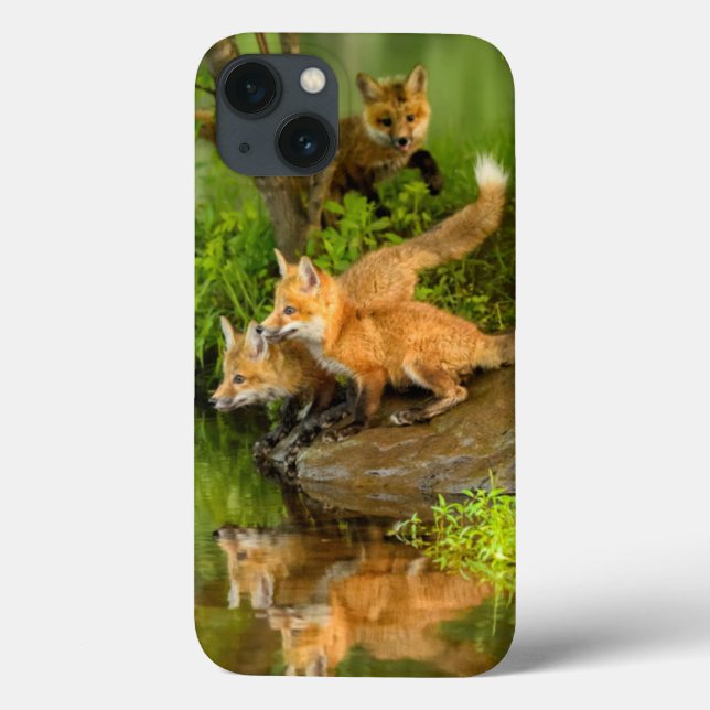 USA, Minnesota, Sandstone, Minnesota Wildlife Case-Mate iPhone Case (Back)