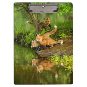 USA, Minnesota, Sandstone, Minnesota Wildlife Clipboard