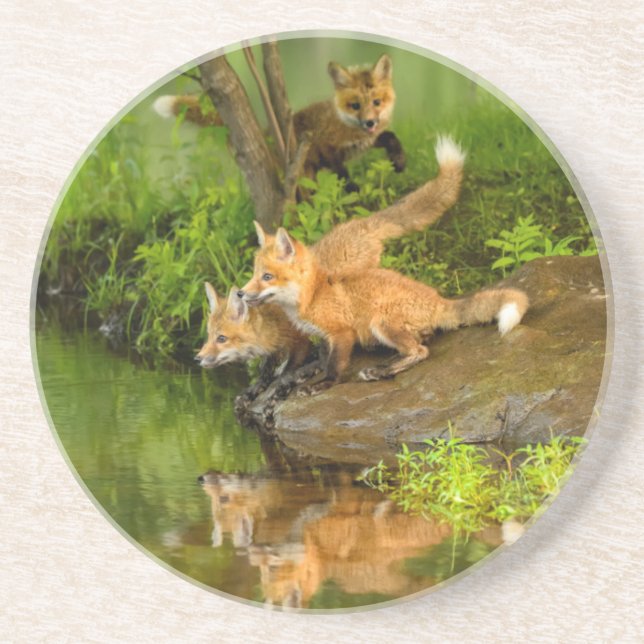 USA, Minnesota, Sandstone, Minnesota Wildlife Coaster (Front)