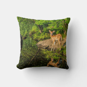 USA, Minnesota, Sandstone, Minnesota Wildlife Cushion