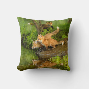USA, Minnesota, Sandstone, Minnesota Wildlife Cushion