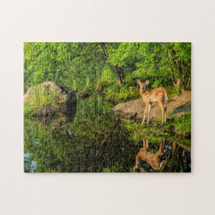USA, Minnesota, Sandstone, Minnesota Wildlife Jigsaw Puzzle
