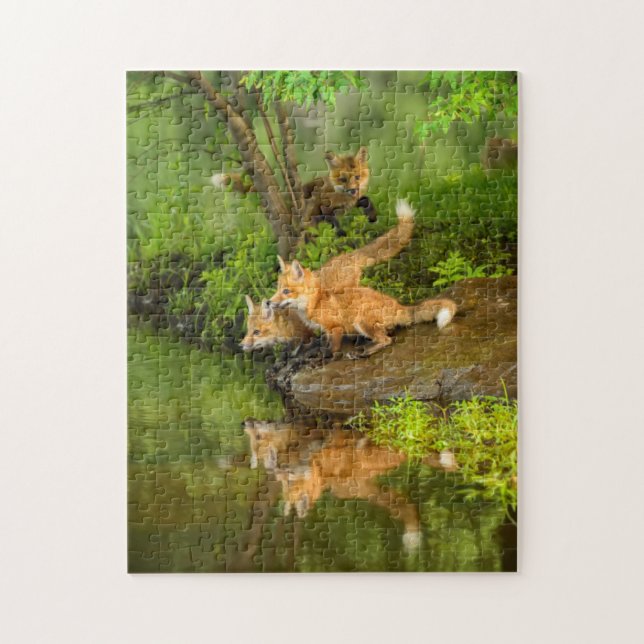 USA, Minnesota, Sandstone, Minnesota Wildlife Jigsaw Puzzle (Vertical)
