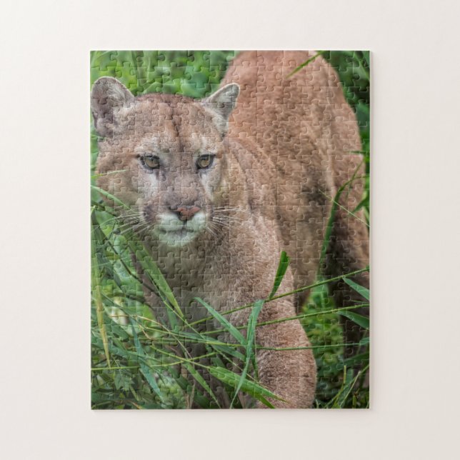 USA, Minnesota, Sandstone, Minnesota Wildlife Jigsaw Puzzle (Vertical)