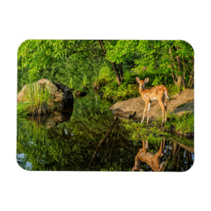 USA, Minnesota, Sandstone, Minnesota Wildlife Magnet
