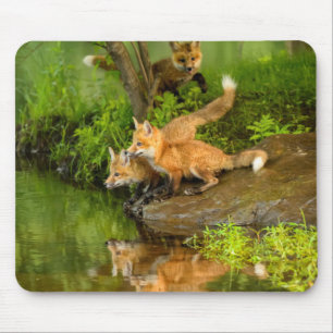 USA, Minnesota, Sandstone, Minnesota Wildlife Mouse Pad