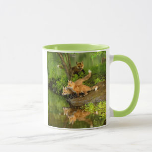 USA, Minnesota, Sandstone, Minnesota Wildlife Mug