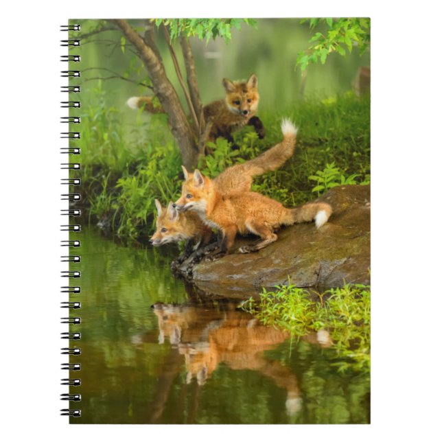 USA, Minnesota, Sandstone, Minnesota Wildlife Notebook (Front)