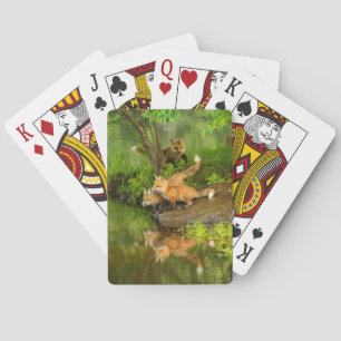 USA, Minnesota, Sandstone, Minnesota Wildlife Playing Cards