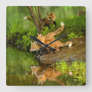 USA, Minnesota, Sandstone, Minnesota Wildlife Square Wall Clock