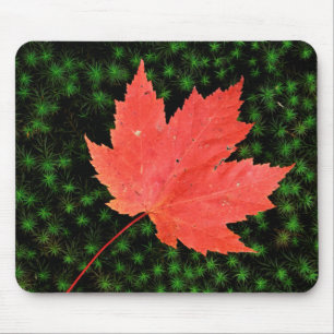 USA, Missouri, Mark Twain National Forest Mouse Pad