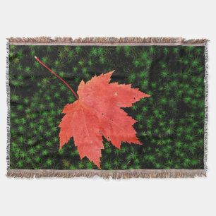 USA, Missouri, Mark Twain National Forest Throw Blanket