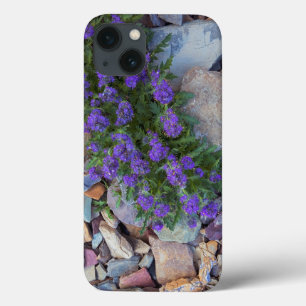 USA, Montana, Glacier National Park iPhone 13 Case