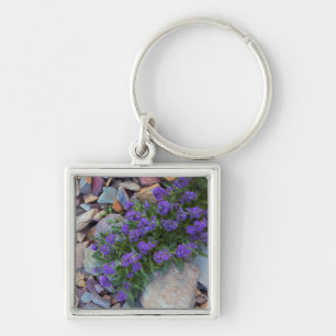 USA, Montana, Glacier National Park Key Ring