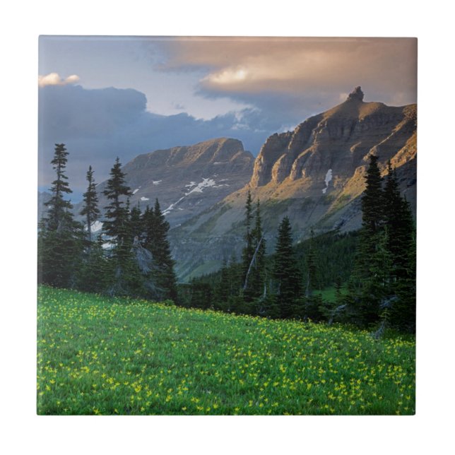 USA, Montana, Glacier National Park, Logan Pass Ceramic Tile (Front)
