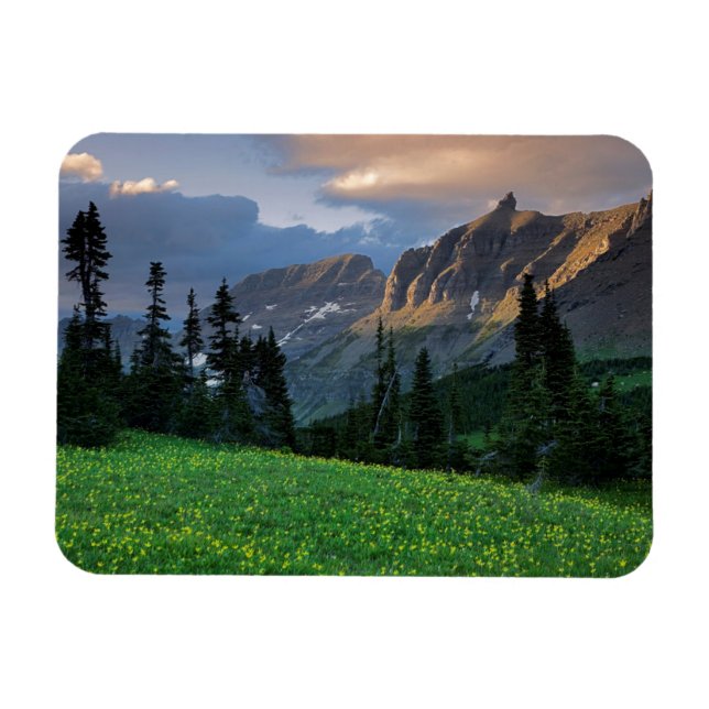 USA, Montana, Glacier National Park, Logan Pass Magnet (Horizontal)