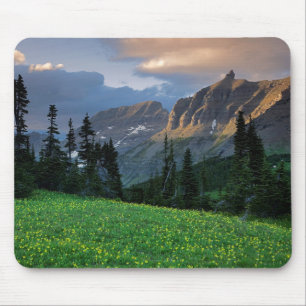 USA, Montana, Glacier National Park, Logan Pass Mouse Pad