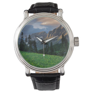 USA, Montana, Glacier National Park, Logan Pass Watch