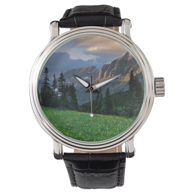 USA, Montana, Glacier National Park, Logan Pass Watch (Front)