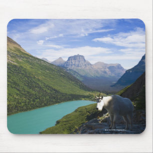 USA, Montana, Glacier National Park, Mountain Mouse Pad