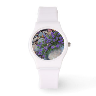 USA, Montana, Glacier National Park Watch