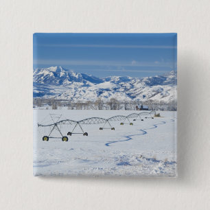 USA, MT, Farm near Livingston 15 Cm Square Badge