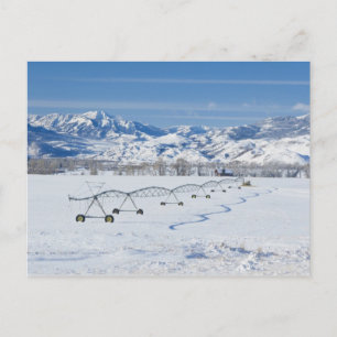 USA, MT, Farm near Livingston Postcard